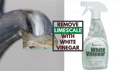 limescale water cleaner